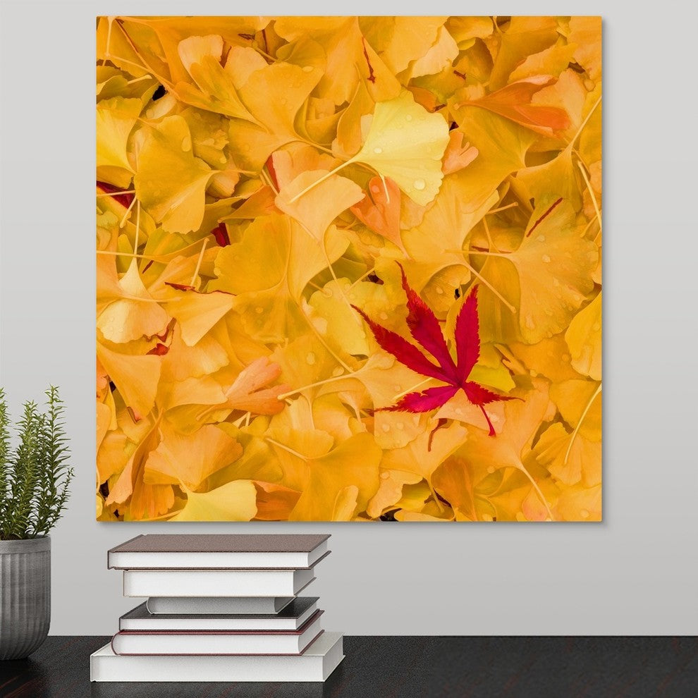 "Outside the Yellow" Wrapped Canvas Art Print, 16"x16"x1.5"