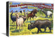 American Wild Beasts And Birds, 16x12