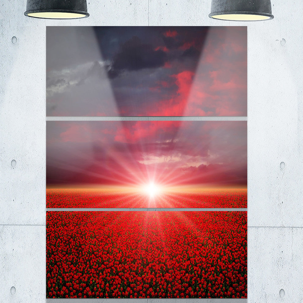 "Red Poppies Field at Sunset" Metal Wall Art, 3 Panels, 28"x36"