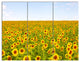 Beautiful Sunflowers Garden, Floral Triptych Canvas Art Print, 36x28, 3 Panels