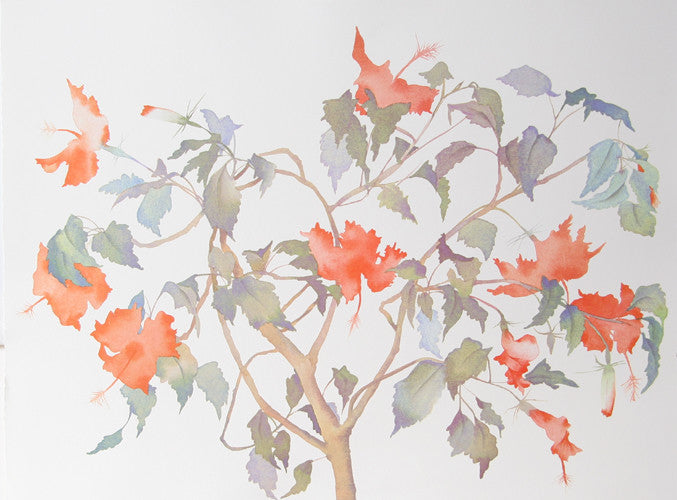 "Hibiscus" Artwork