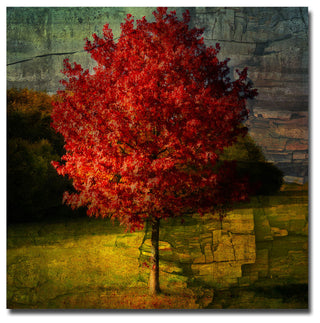 'Autumn Red' Canvas Art by Philippe Sainte-Laudy