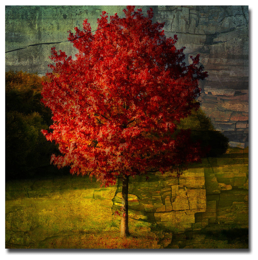 'Autumn Red' Canvas Art by Philippe Sainte-Laudy