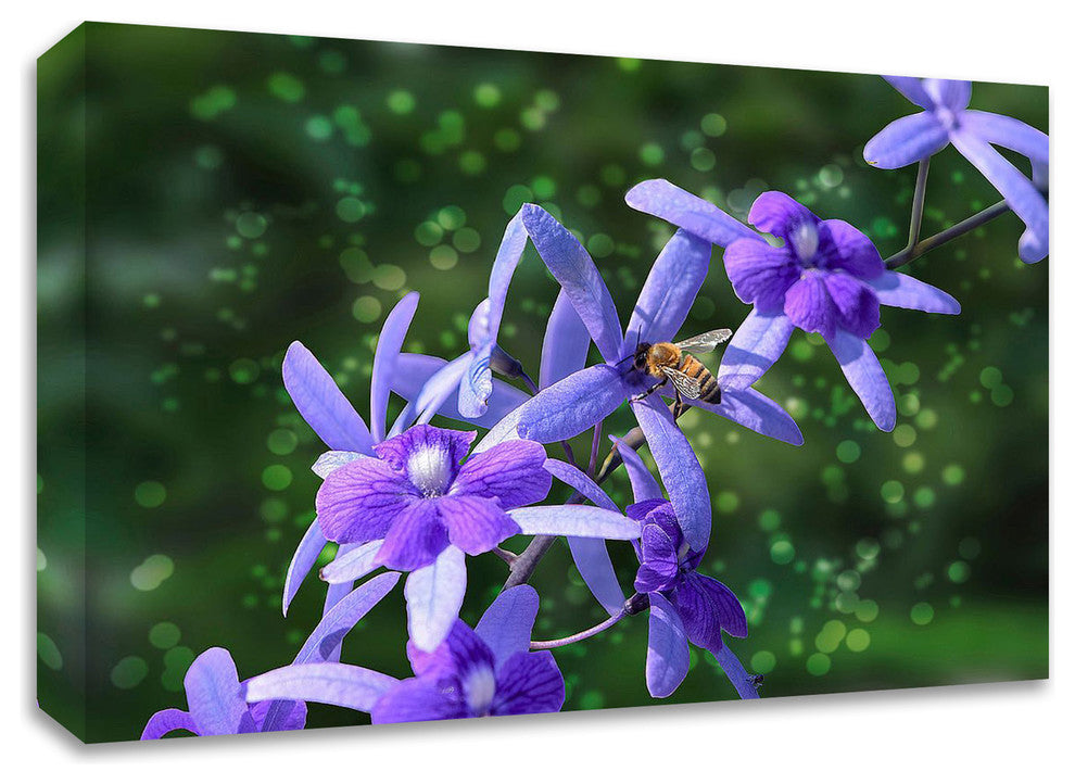 Bee and Purple Flowers by Don Spears, Print on Canvas, Ready to Hang