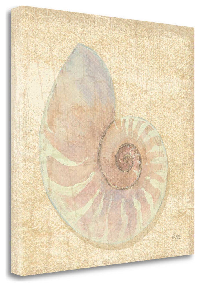 20" Soft Pastel Seashell Giclee Wrap Canvas Wall Art