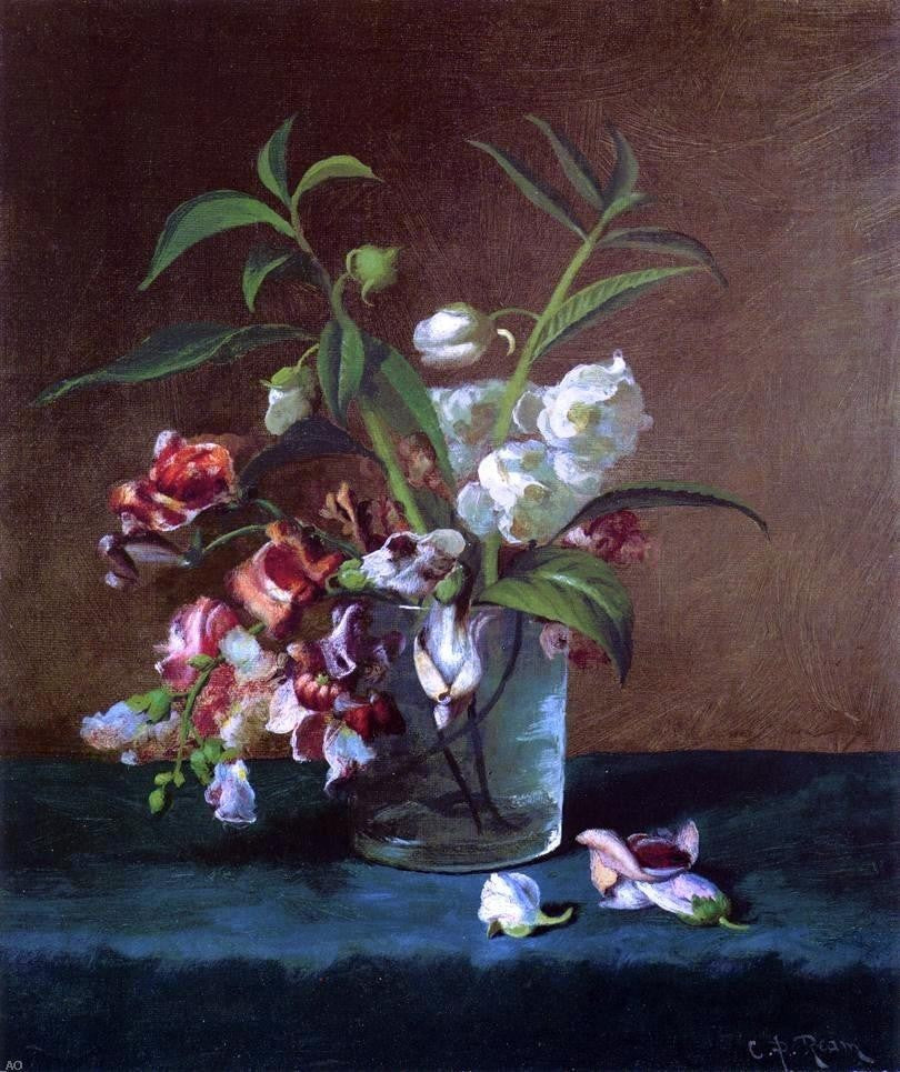 Carducius Plantagenet Ream Floral Still Life Premium Canvas Print