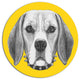 Funny Beagle Dog With Collar, Animal Large Disc Metal Wall Art, 11"