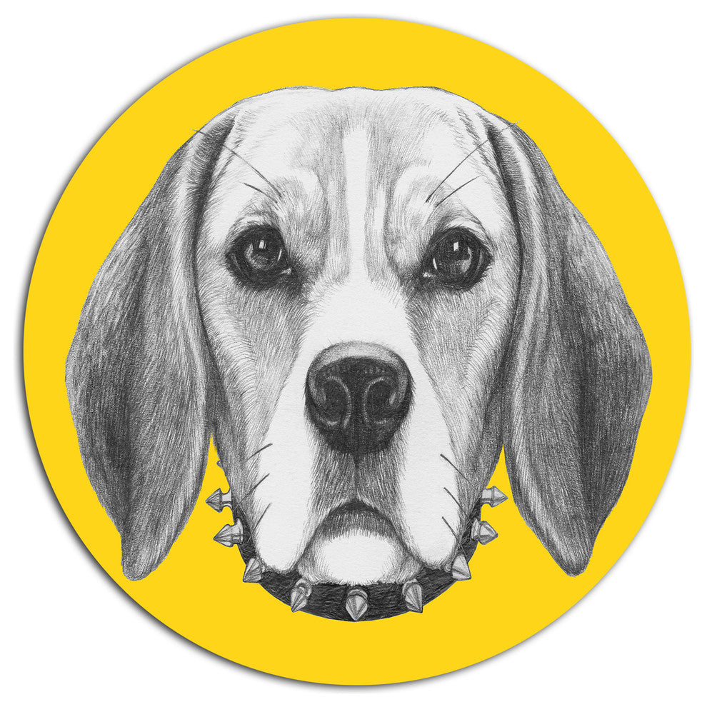 Funny Beagle Dog With Collar, Animal Large Disc Metal Wall Art, 11"