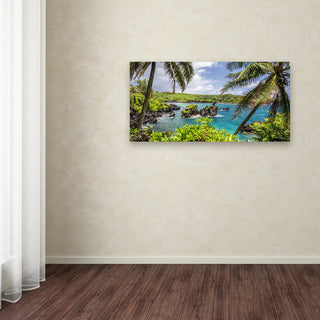 Pierre Leclerc 'Tropical Paradise Maui' Canvas Art, 19x10