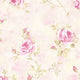 Rose Gardens 2, Romantic Floral Flower Cream, Rose Wallpaper Sample