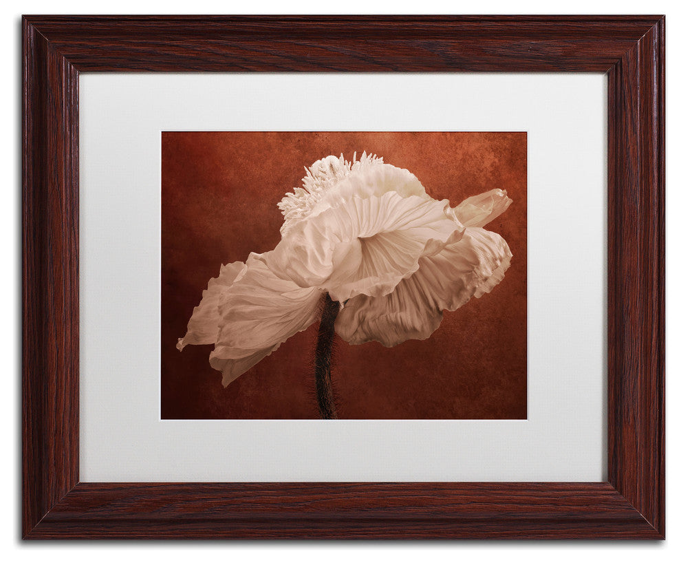 Cora Niele 'White Poppy' Matted Framed Art