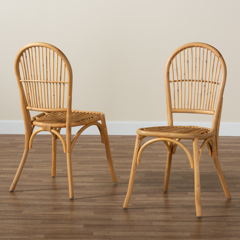 Wina Modern Bohemian Natural Brown Rattan 2-Piece Dining Chair Set