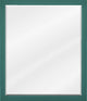 Adler Transitional 24" Hanging Mirror, Forest Green Bathroom Mirror
