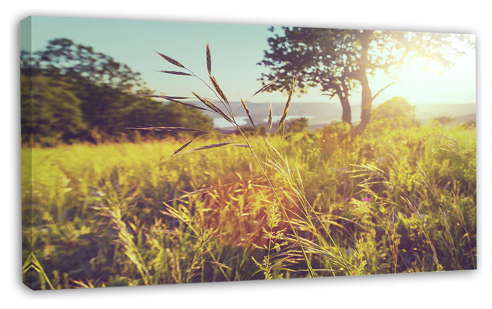 Green Summer Meadow, Landscape Canvas Art Print, 32"x16"