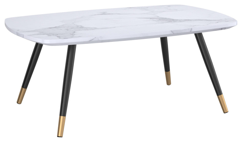 Contemporary Coffee Table