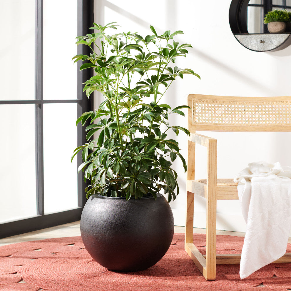 Safavieh Gerand Outdoor Planter, Black