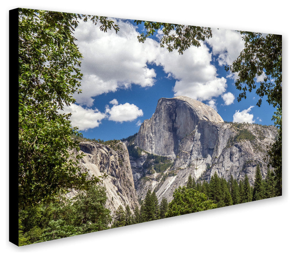 'Yosemite Half Dome' Canvas Art by Pierre Leclerc