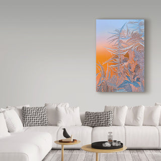 Hua Zhu 'Ice Flower' Canvas Art, 47"x30"