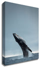 40 Ton by Design Fabrikken, Print on Canvas, 30"x42"