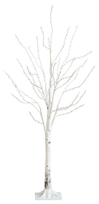 Full tree on white background, front-facing style matching primary product.