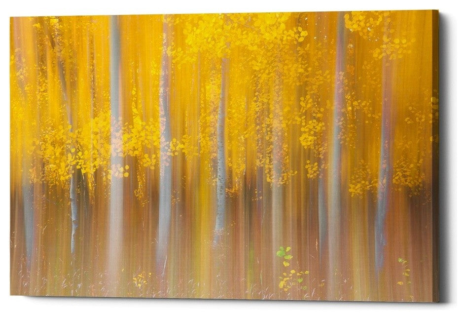 Epic Graffiti "Changing Seasons" by Darren White, Giclee Canvas Art, 26"x40"