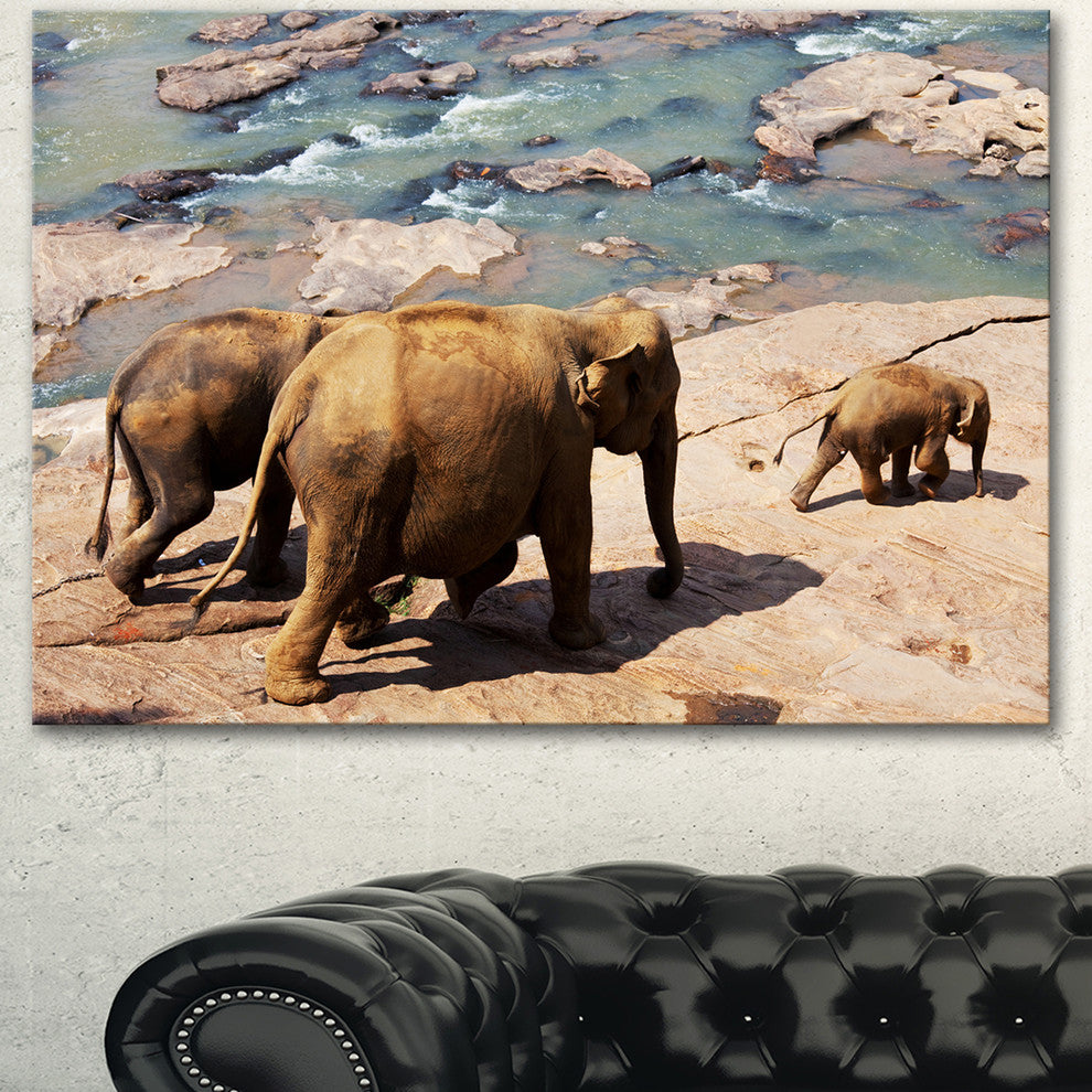 Parade of Elephants in Sri Lanka, African Landscape Canvas Art Print, 40"x30"