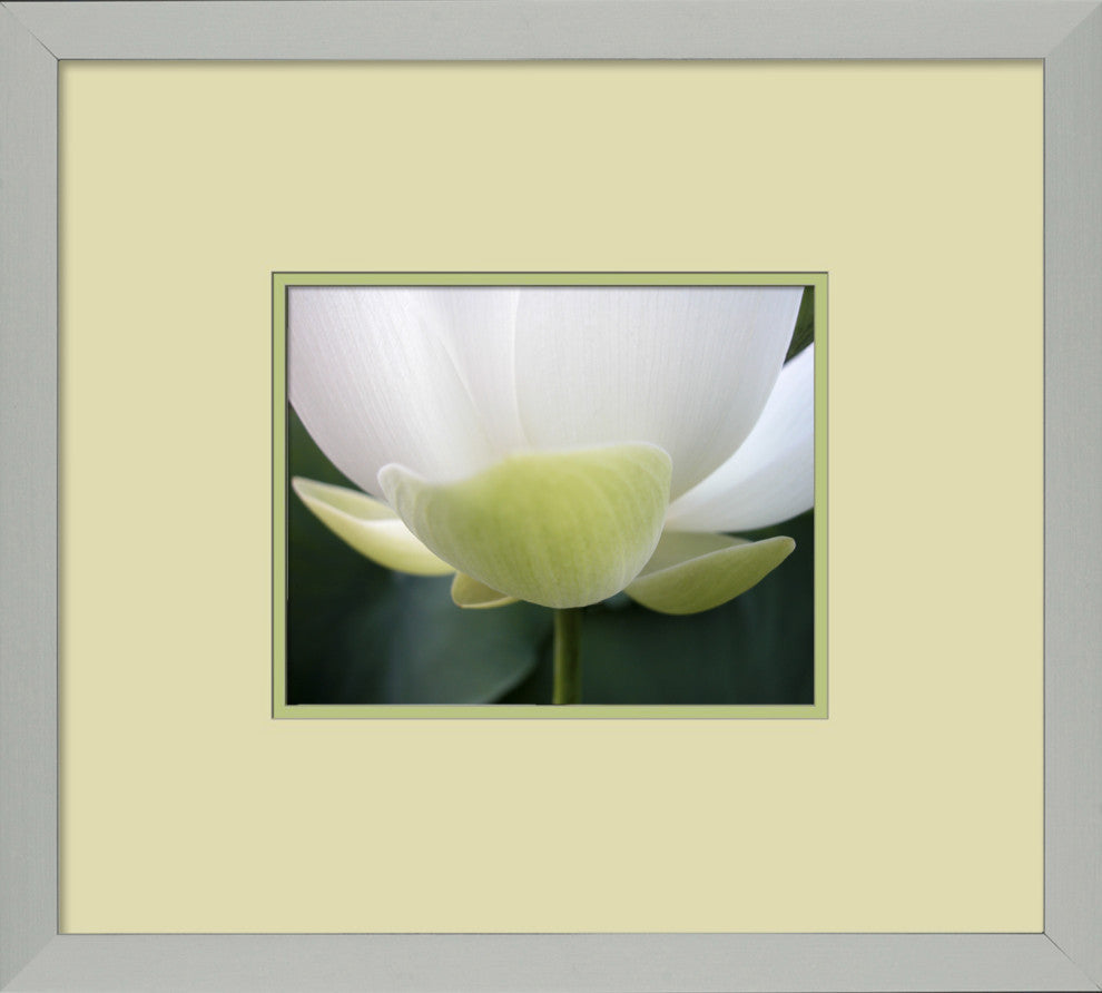 Fresh Cut 6, Giclee Reproduction Artwork