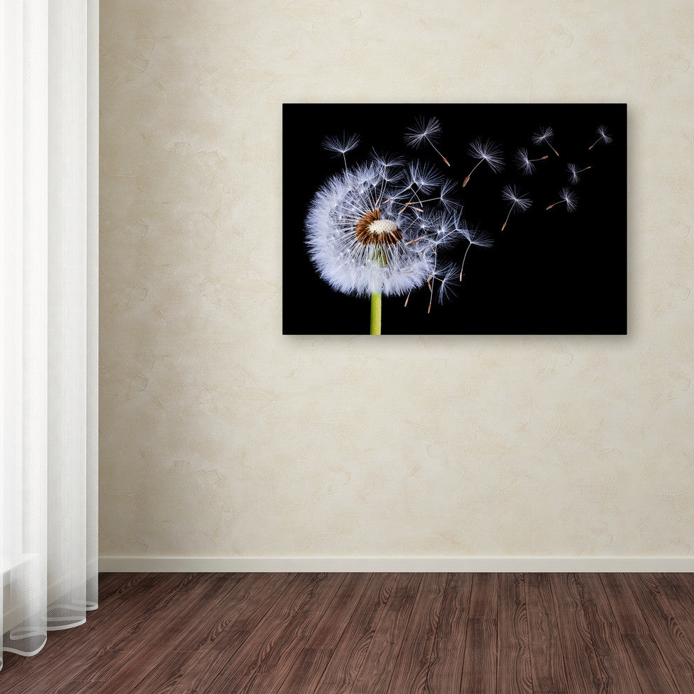 Bess Hamiti 'Dandelion Blowing' Canvas Art, 32x22