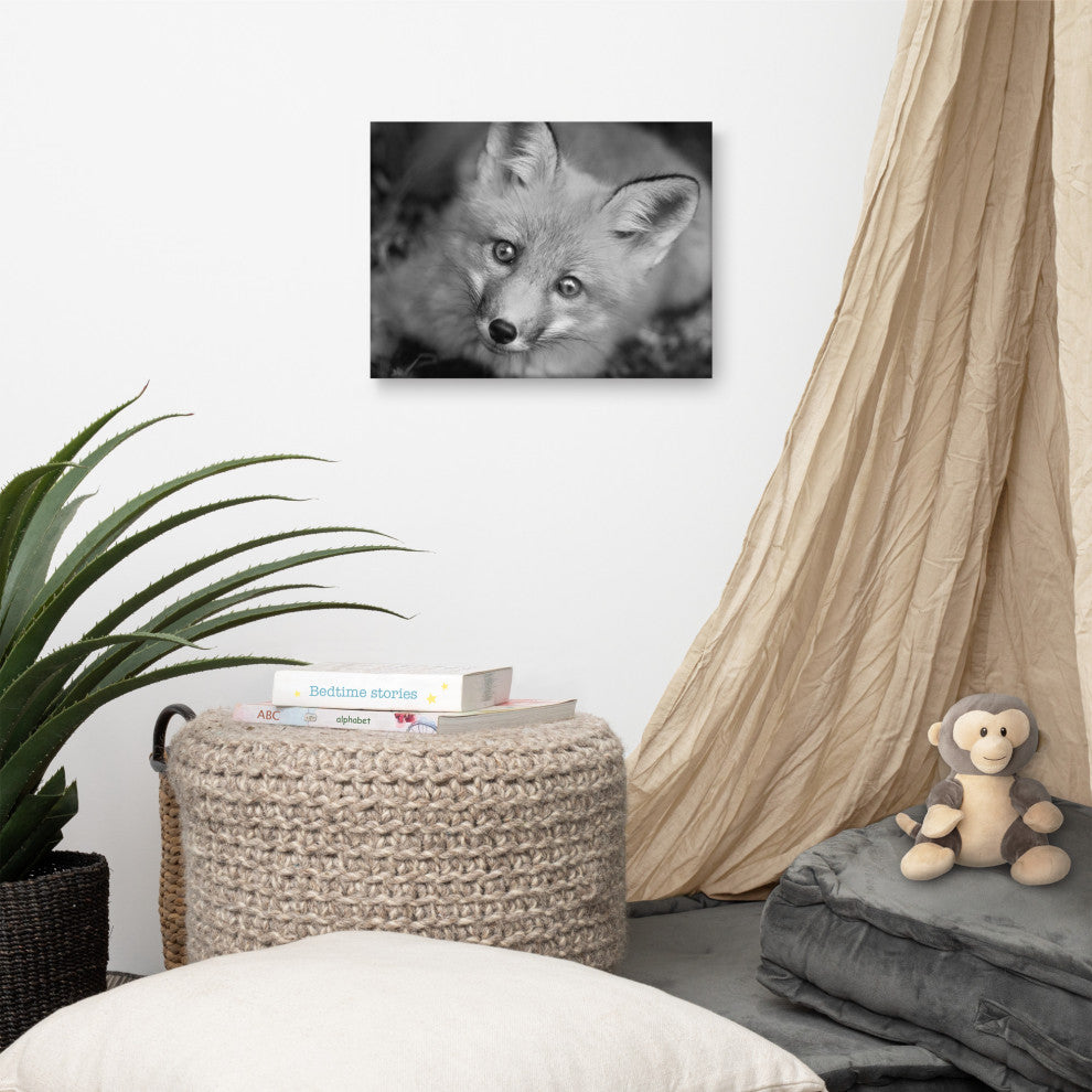 Young Red Fox Face Black and White Wildlife Photograph Canvas Wall Art Print, 12" X 16"