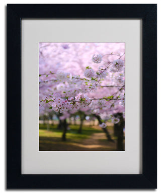 'DC 2' Matted Framed Canvas Art by CATeyes