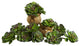 6" Echeveria Succulent, Set of 12, Green and Burgundy