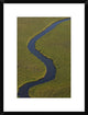 "Papyrus swamps and channel, aerial view, Africa"  by Pete Oxford, 20x26"