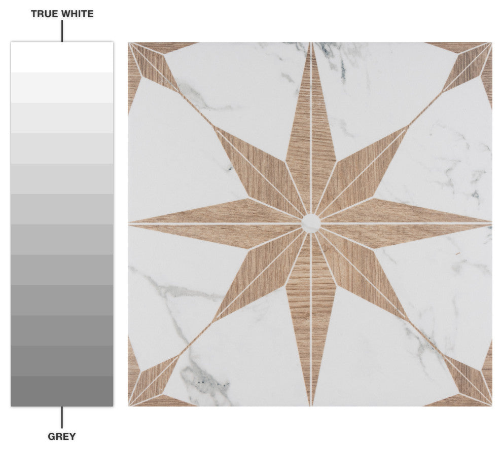 Llama Stella Loire Porcelain Floor and Wall Tile, Noce, Noce