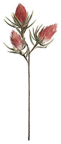 Botanica #809
