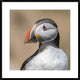 "Portrait" Framed Digital Print by Piotr Galus, 32"x32"