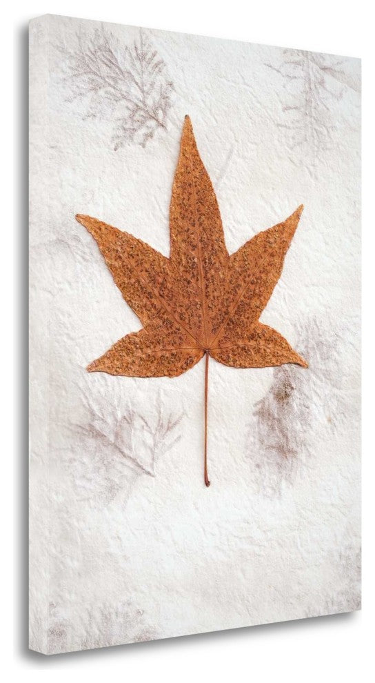 "Floral - 26" By Alan Blaustein, Giclee Print on Gallery Wrap Canvas