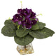 Gloxina With Vase Silk Plant