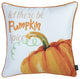 Set Of Four 18" Orange And White Pumpkin Spice Throw Pillow Covers