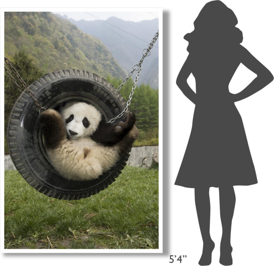 "Giant Panda cub playing in swing, Wolong Nature Reserve" Paper Art, 42"x62"