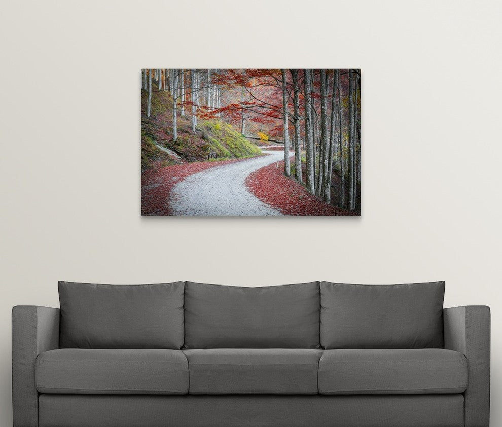 "Tuscany forest" Wrapped Canvas Art Print, 48"x32"x1.5"