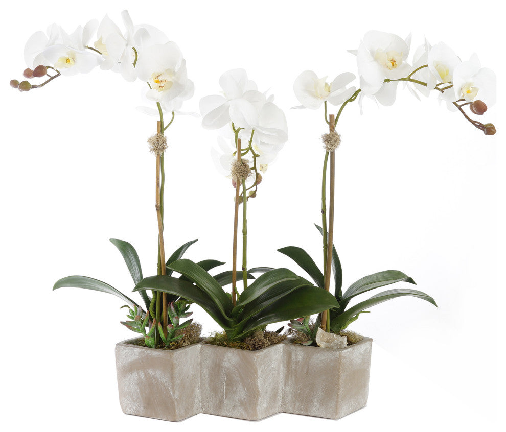 Three Sisters Real Touch White Orchid Arrangement