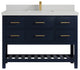Parker 48 Single Sink Bath Vanity in Navy Blue  2" Carrara Quartz