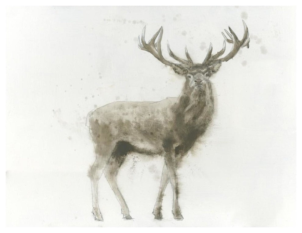 "Stag" Digital Paper Print by James Wiens, 42"x32"
