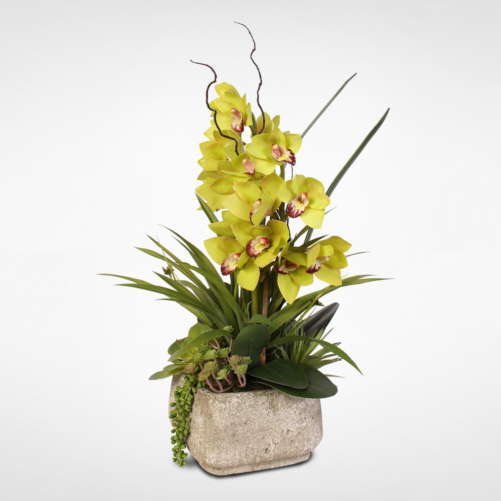 Alluring Green Real Touch Cymbidium Orchid & Succulents in a Textured Cement Pot