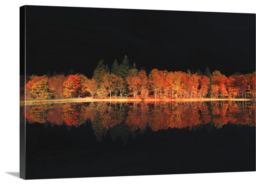 "Black Magic" Wrapped Canvas Art Print, 36"x24"x1.5"