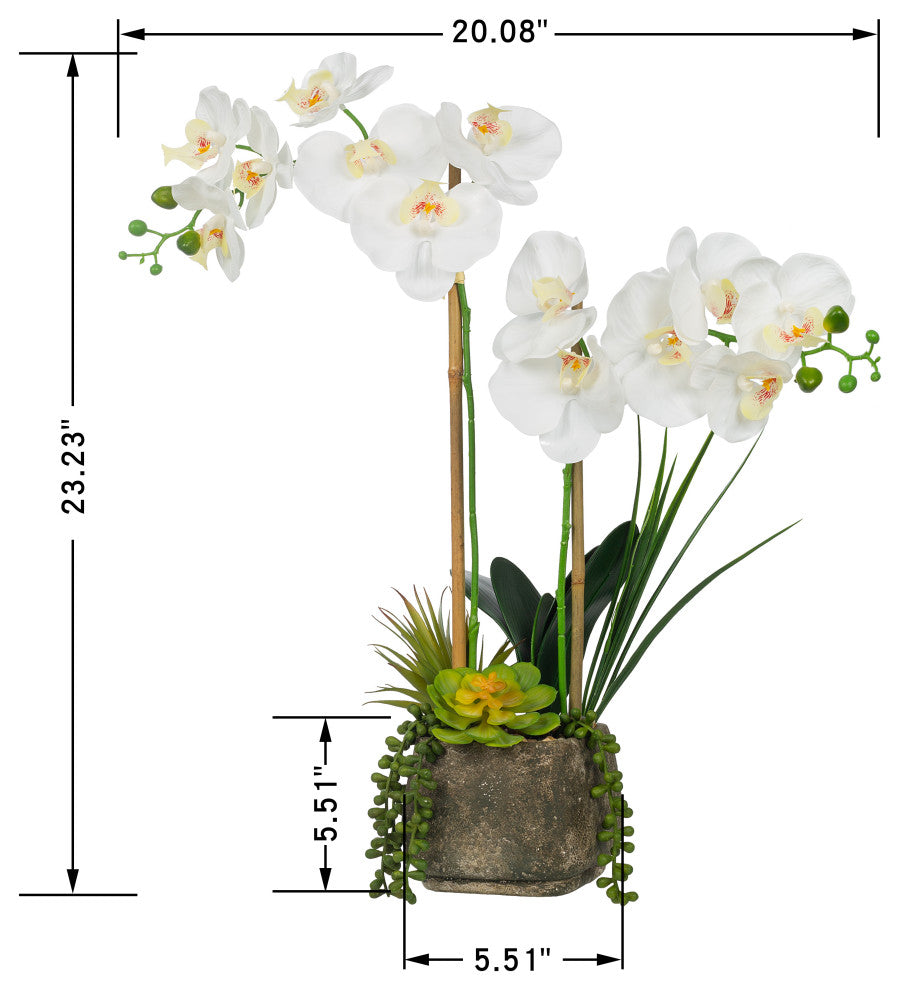 Artificial Phalaenopsis Orchids With Succulents Floral Arrangement, Pot