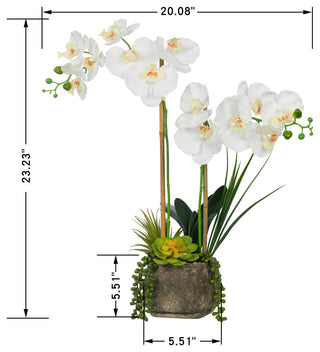 Artificial Phalaenopsis Orchids With Succulents Floral Arrangement, Pot