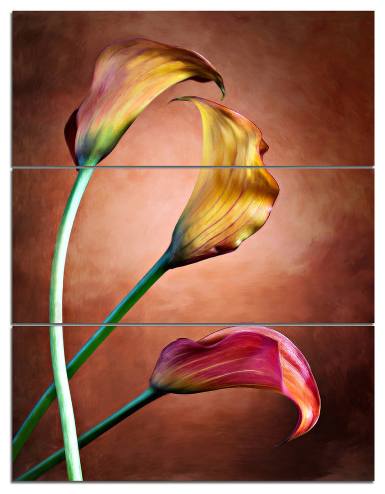 "Zantedeschia Aethiopica" Glossy Metal Wall Art, 3 Panels, 28"x36"
