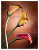 "Zantedeschia Aethiopica" Glossy Metal Wall Art, 3 Panels, 28"x36"