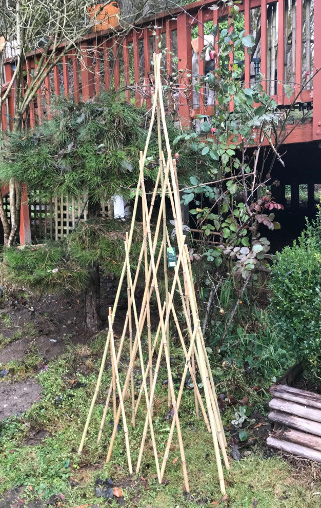 Natural Bamboo Teepee, 60"
